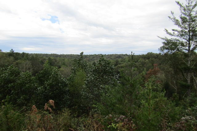 Lot 6 Meridian Road Crossville, TN 38555 - Photo 4 of 7 Mt View