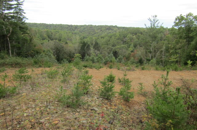 Lot 6 Meridian Road Crossville, TN 38555 - Photo 5 of 7 Mt View