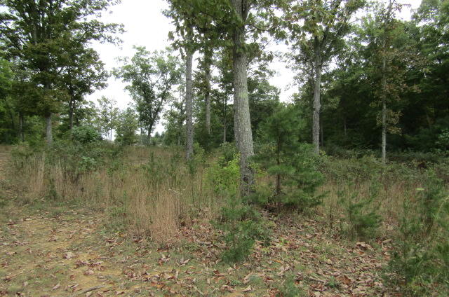 Lot 6 Meridian Road Crossville, TN 38555 - Photo 6 of 7 building site