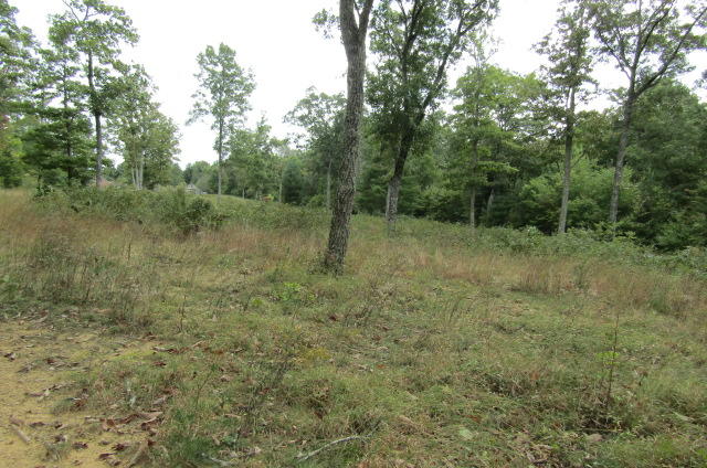 Lot 6 Meridian Road Crossville, TN 38555 - Photo 7 of 7 building site