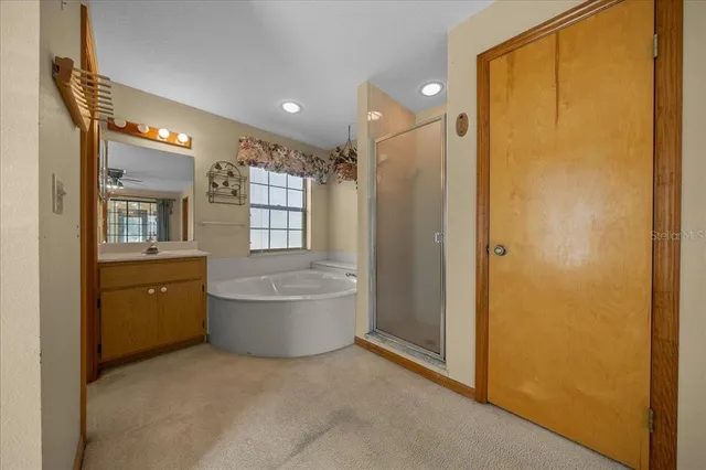 a view of a house with a yard and large tree