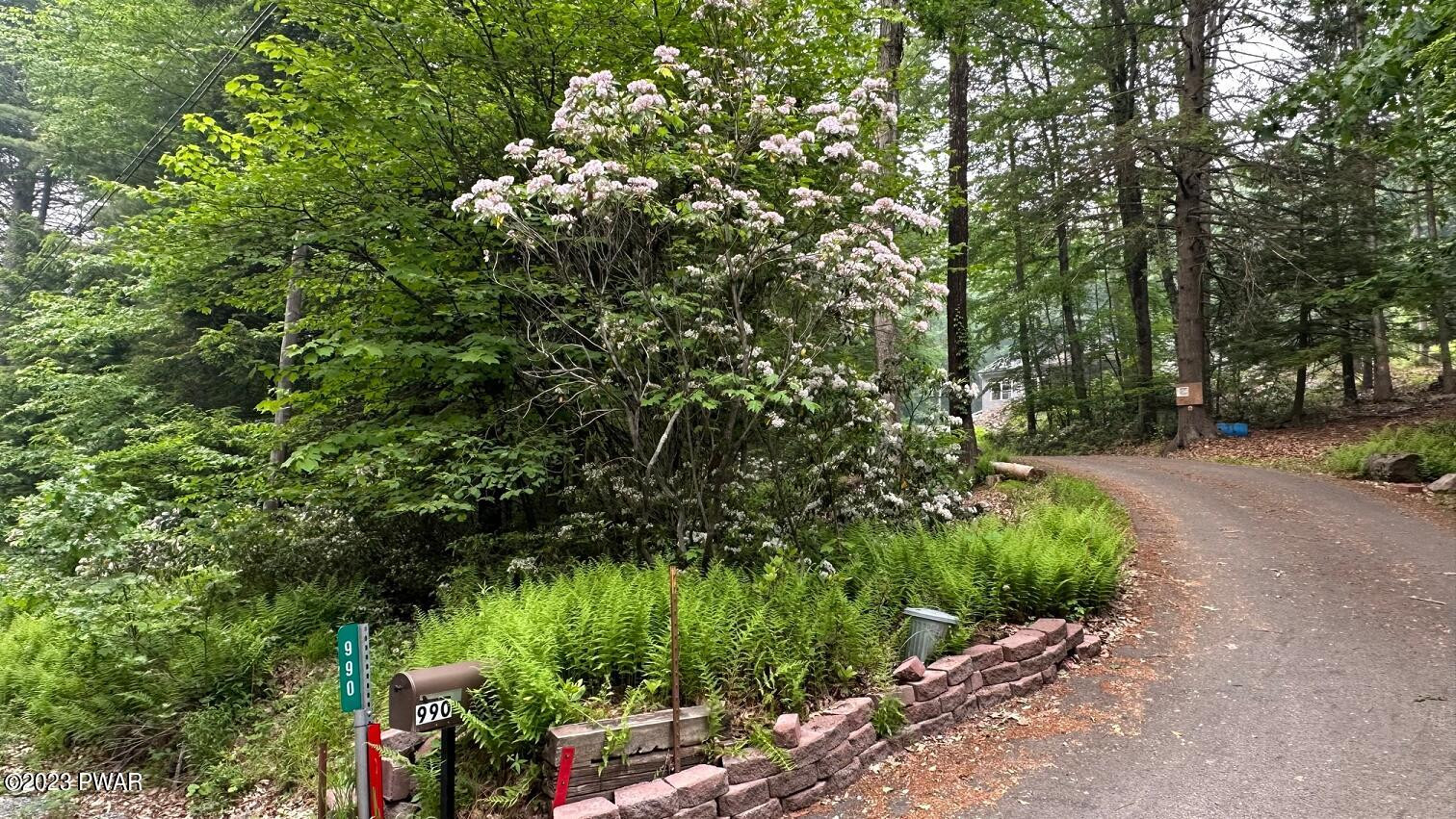 990 Long Ridge Road Hawley, PA 18428 - Photo 29 of 42 Private driveway