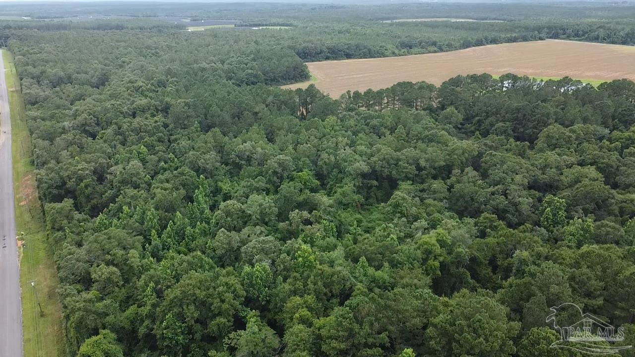 7600 Bratt Road Century, FL 32535 - Photo 29 of 41