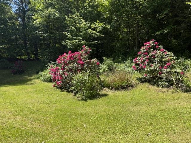 3333 West River Road Dummerston, VT 05301 - Photo 33 of 51