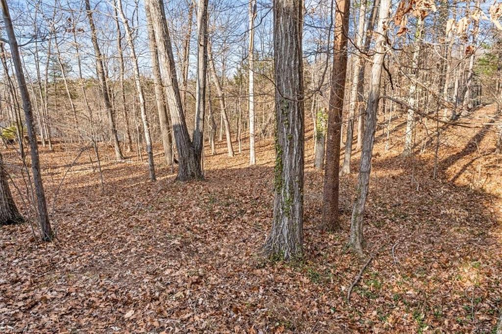 419 Chester Woods Court High Point, NC 27262 - Photo 35 of 48