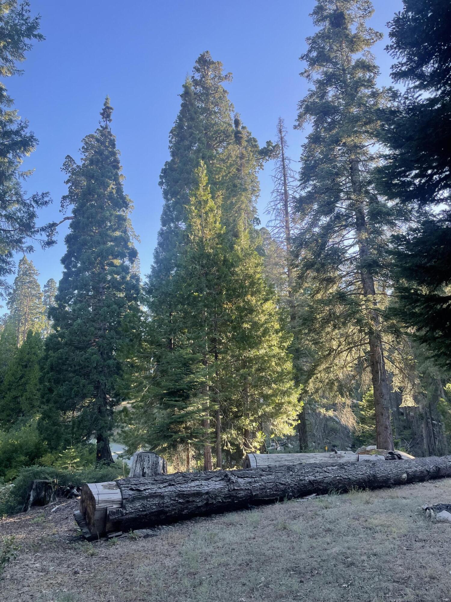 16 Coy Flat Road Springville, CA 93265 - Photo 13 of 18 IMG_7194