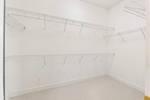 a view of a backyard with plants and tree