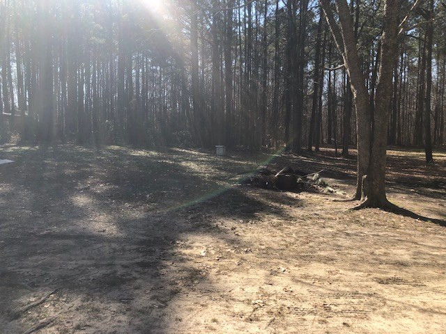217 David Road Wendell, NC 27591 - Photo 17 of 19 Photo 17