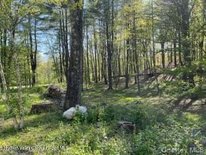L-33 Harring Road Cairo, NY 12413 - Photo 4 of 5