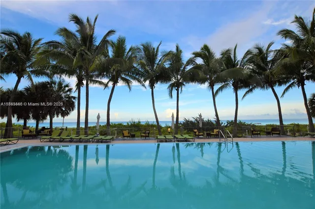 a view of three palm trees