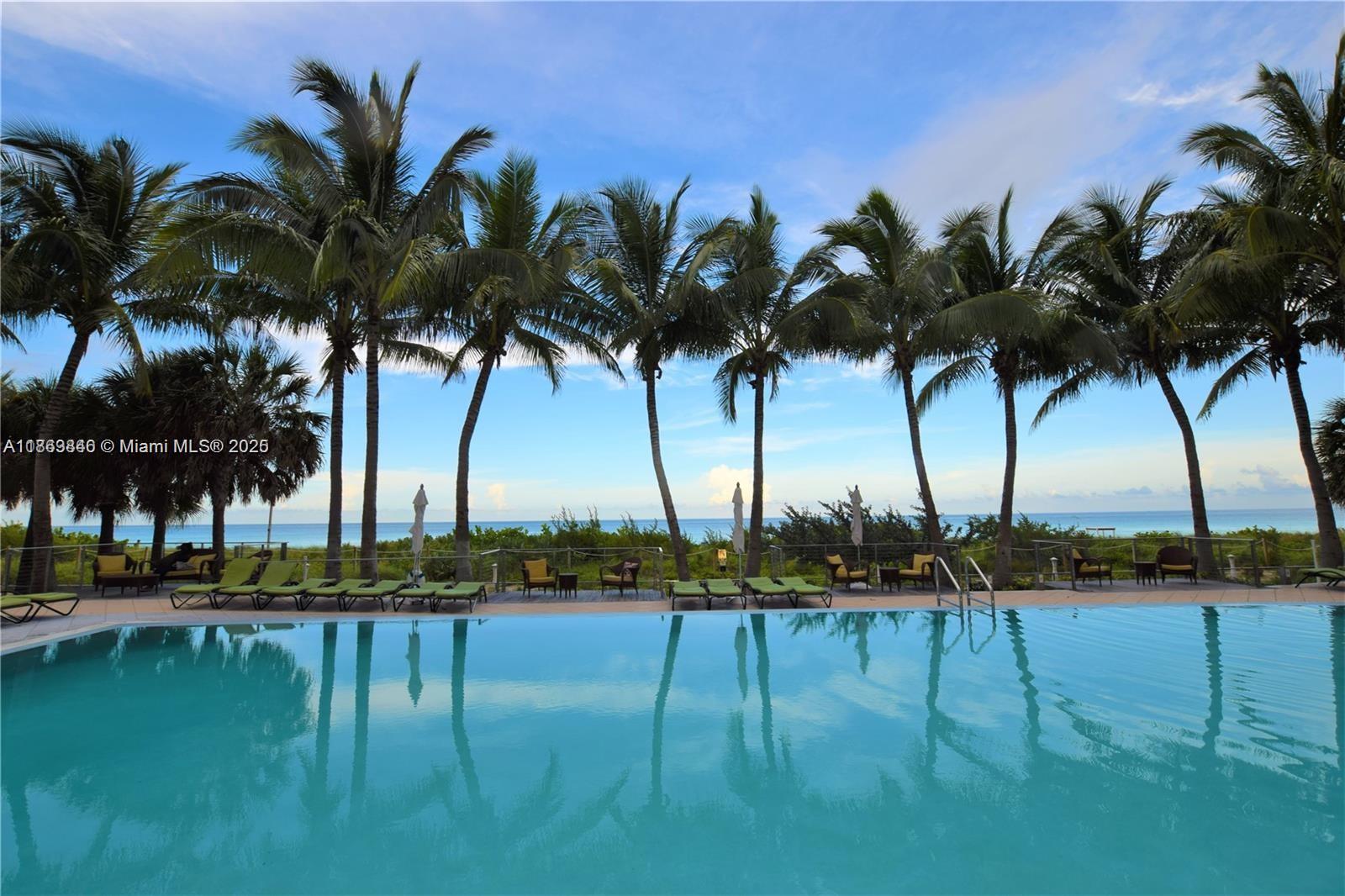 6899 Collins Avenue, Unit 808 Miami Beach, FL 33141 - Photo 6 of 31 a view of three palm trees