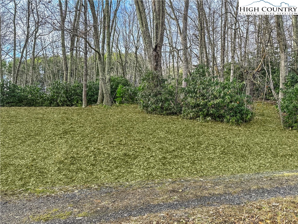 2496 Tucker Road Lansing, NC 28643 - Photo 9 of 20 a view of a yard with plants and large trees