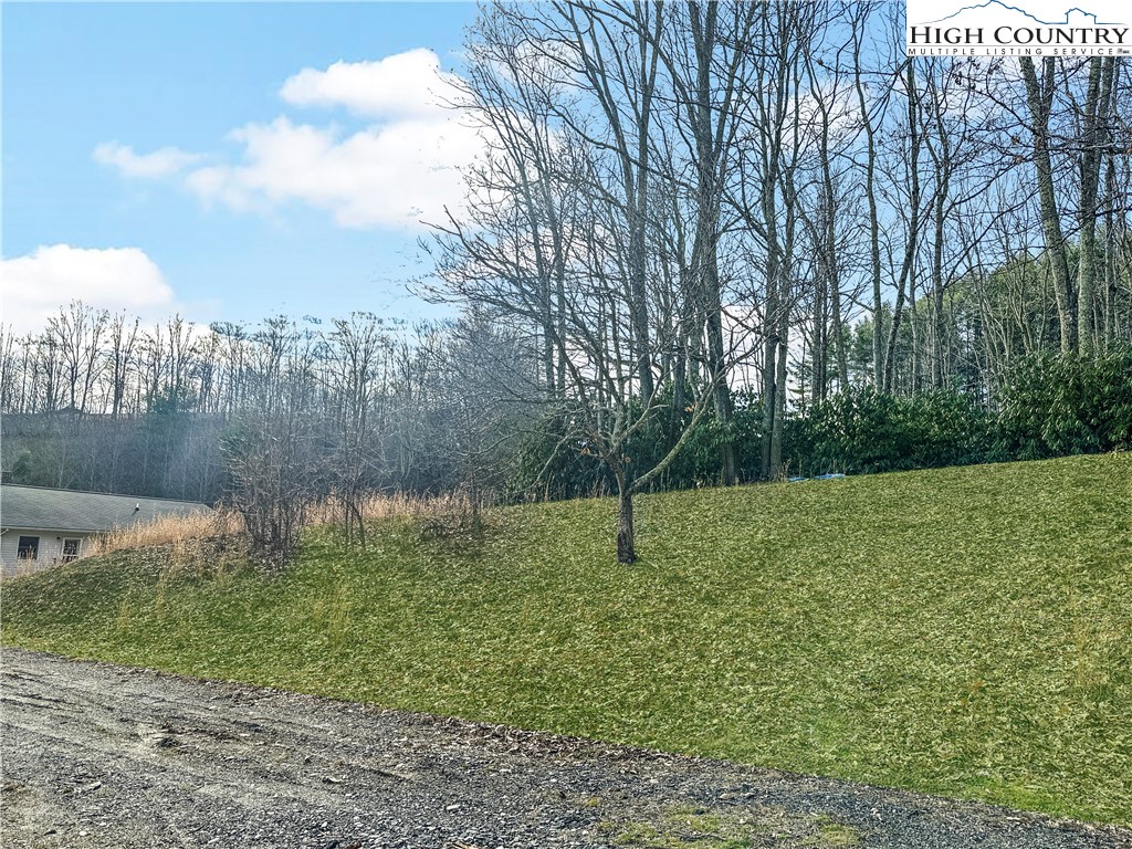 2496 Tucker Road Lansing, NC 28643 - Photo 10 of 20 a backyard of a house with lots of green space