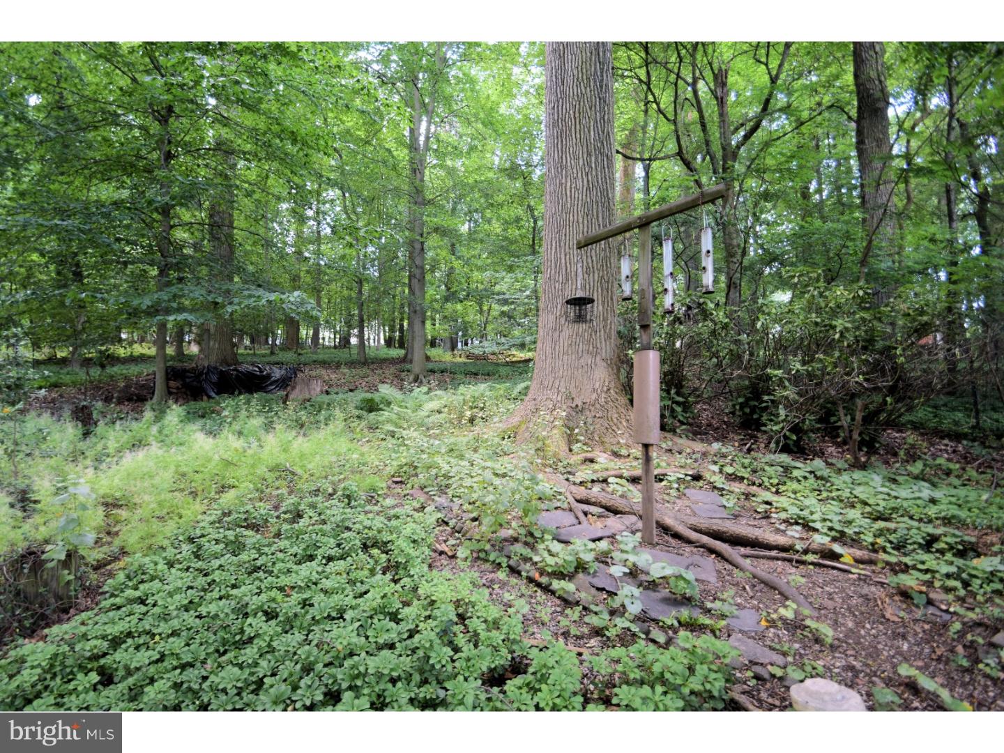 513 Brookwood Road Wayne, PA 19087 - Photo 24 of 24 Back Yard
