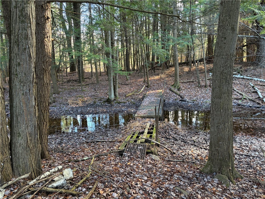 482 County Rte 11 West Monroe, NY 13167 - Photo 6 of 13