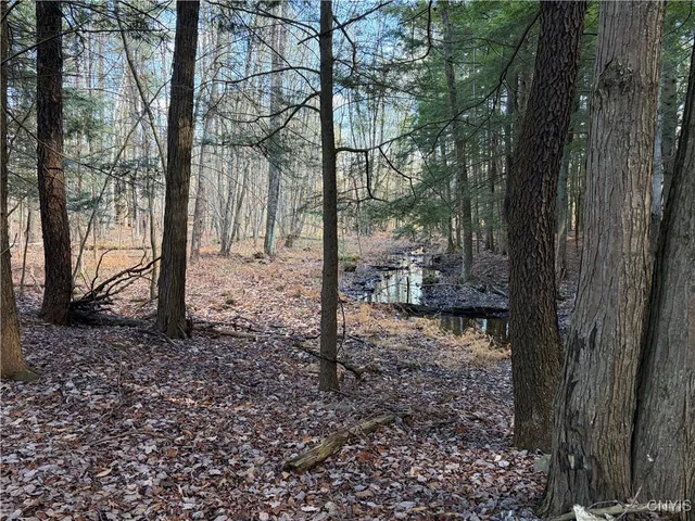 $75,000 | 482 County Rte 11, West Monroe, NY 13167