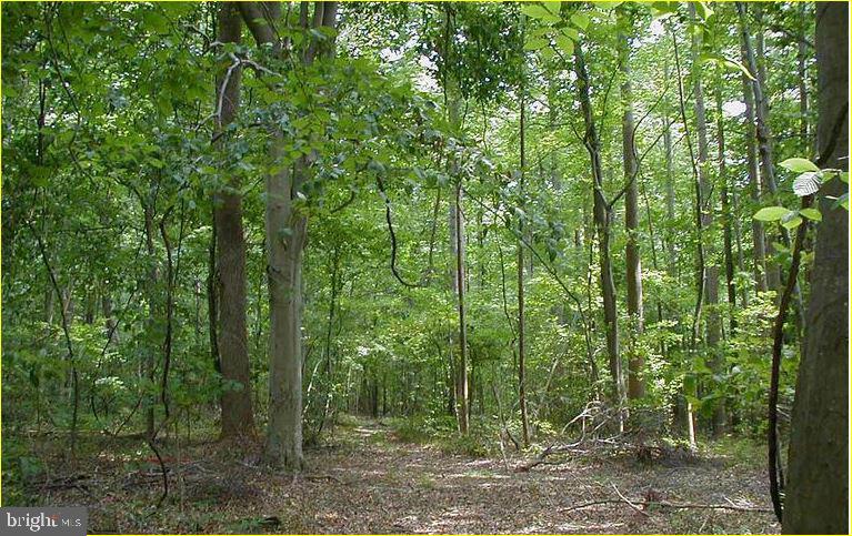 12605 Cedarville Road Brandywine, MD 20613 - Photo 1 of 8
