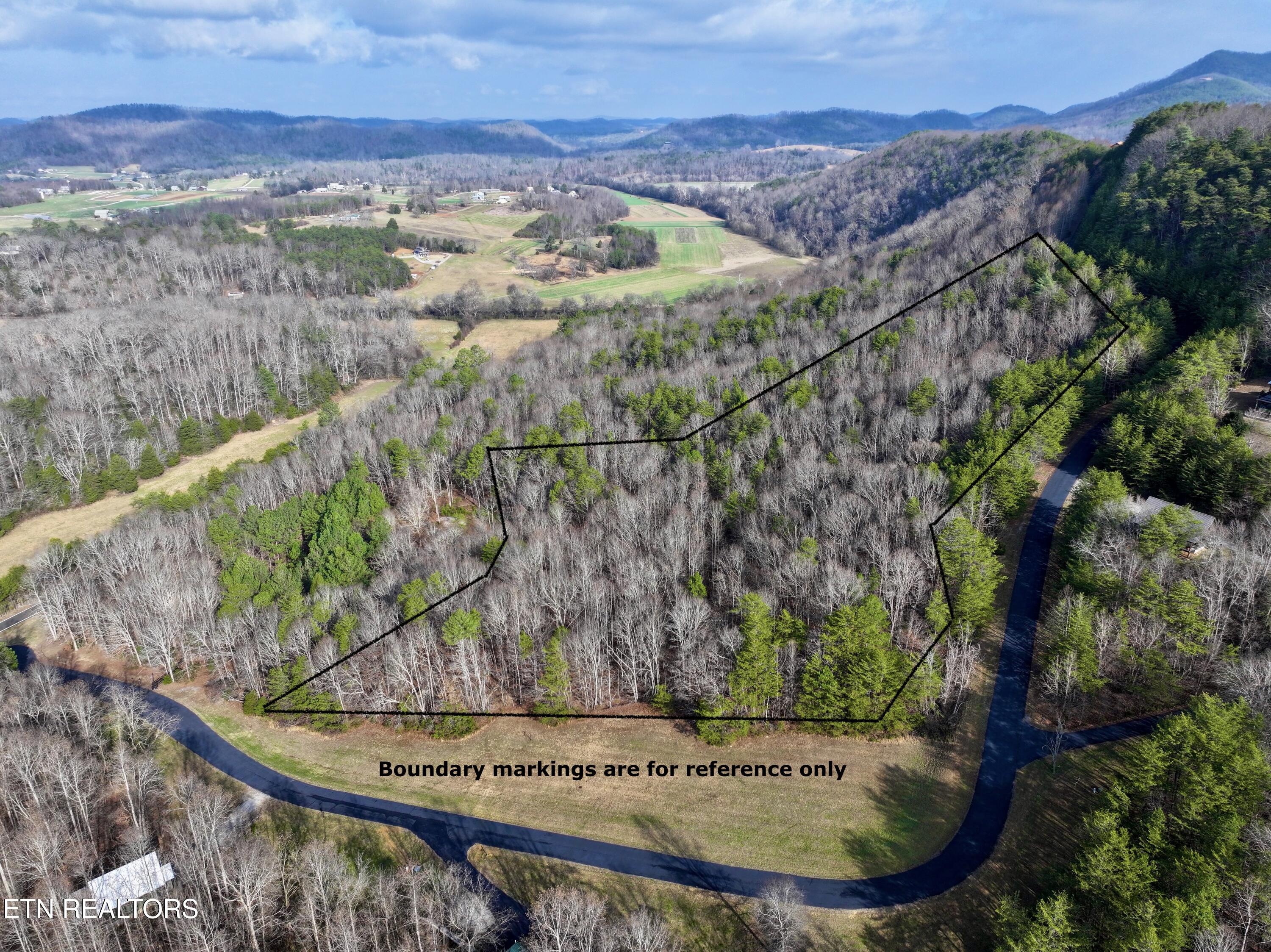 Forest View Tellico Plains, TN 37385 - Photo 2 of 21 Forest View