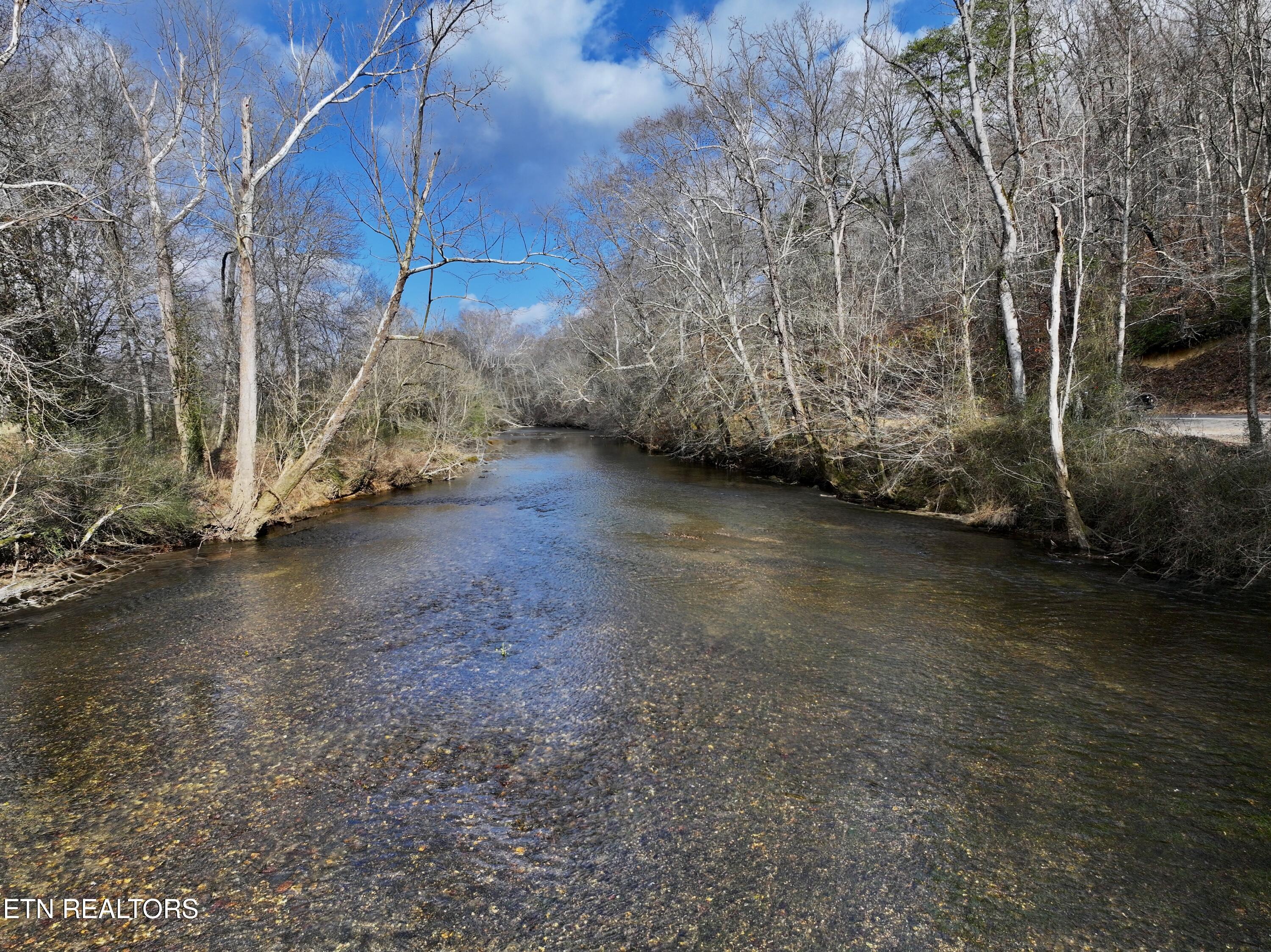 Forest View Tellico Plains, TN 37385 - Photo 21 of 21 Tellico River