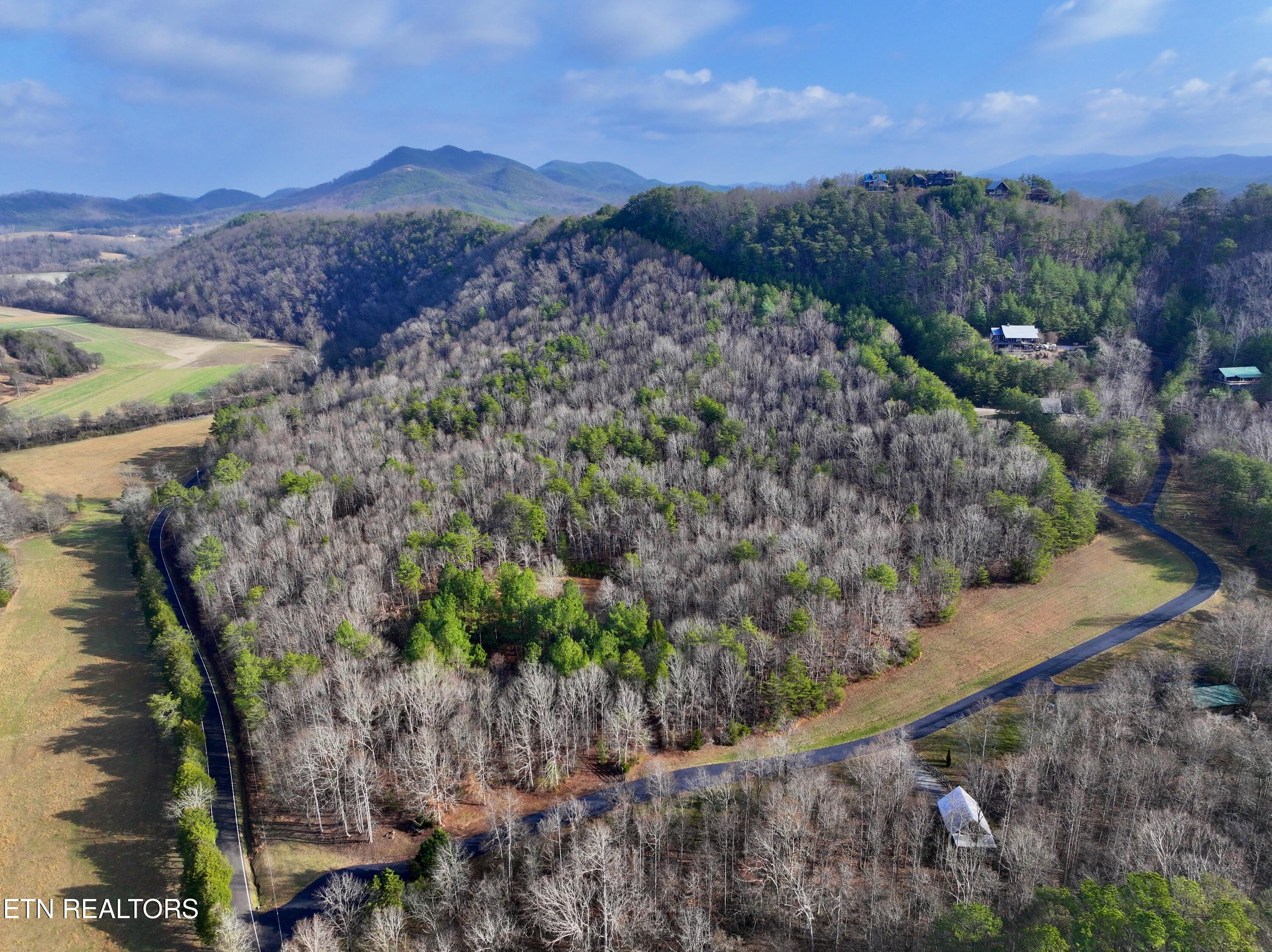 Forest View Tellico Plains, TN 37385 - Photo 3 of 21 4