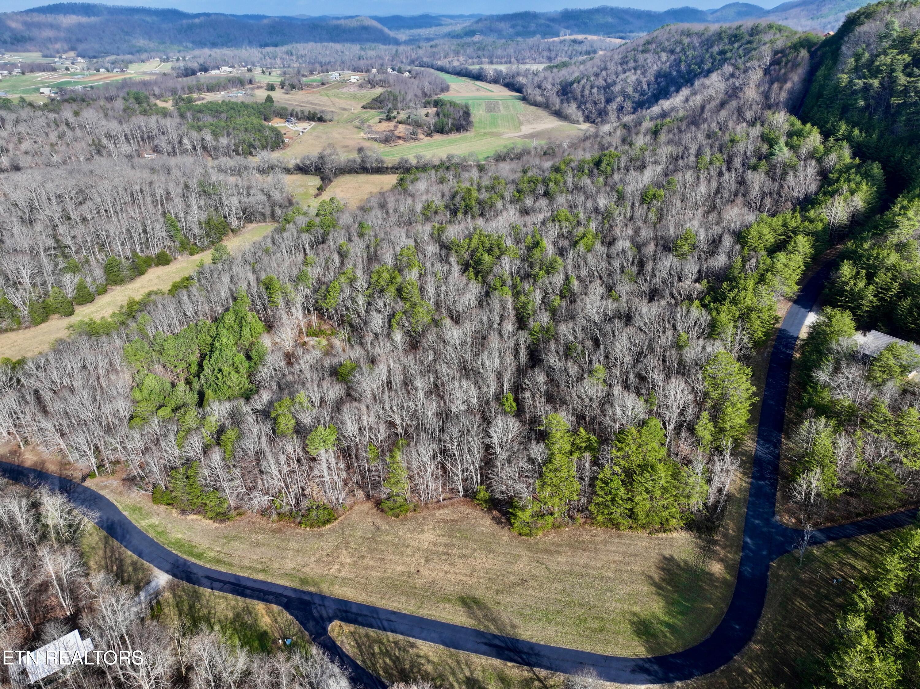 Forest View Tellico Plains, TN 37385 - Photo 4 of 21 6
