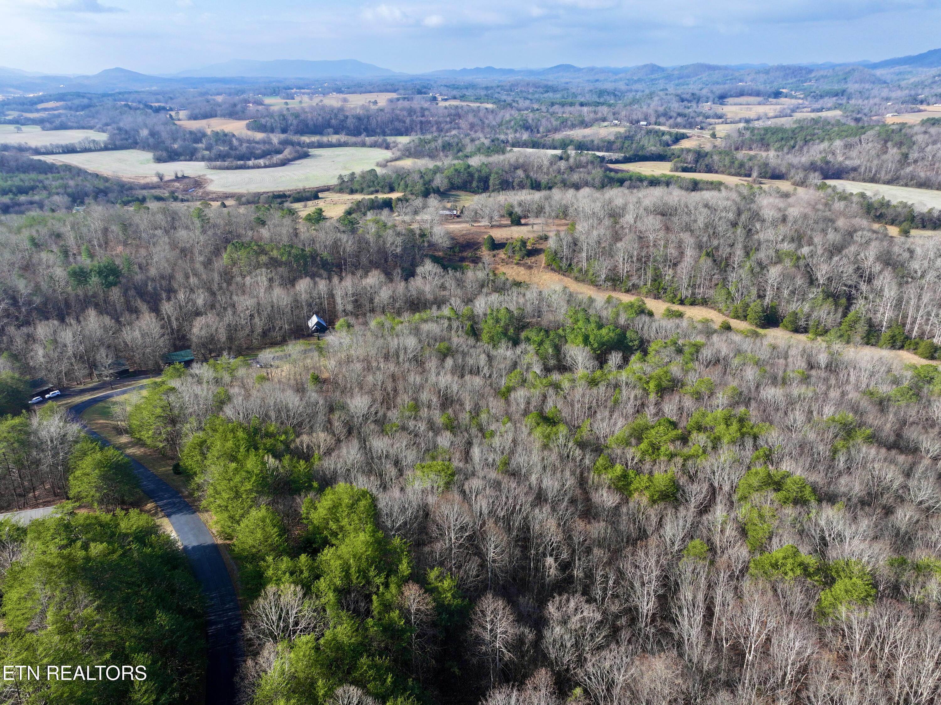 Forest View Tellico Plains, TN 37385 - Photo 5 of 21 15