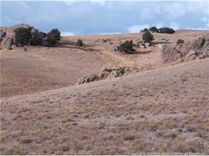42 Delaware Road Hartsel, CO 80449 - Photo 2 of 16 a view of a dry yard with trees