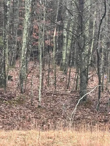 $129,900 | 3699 Crockett Pointe, Jasper, TN 37347