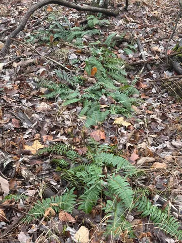 $129,900 | 3699 Crockett Pointe, Jasper, TN 37347