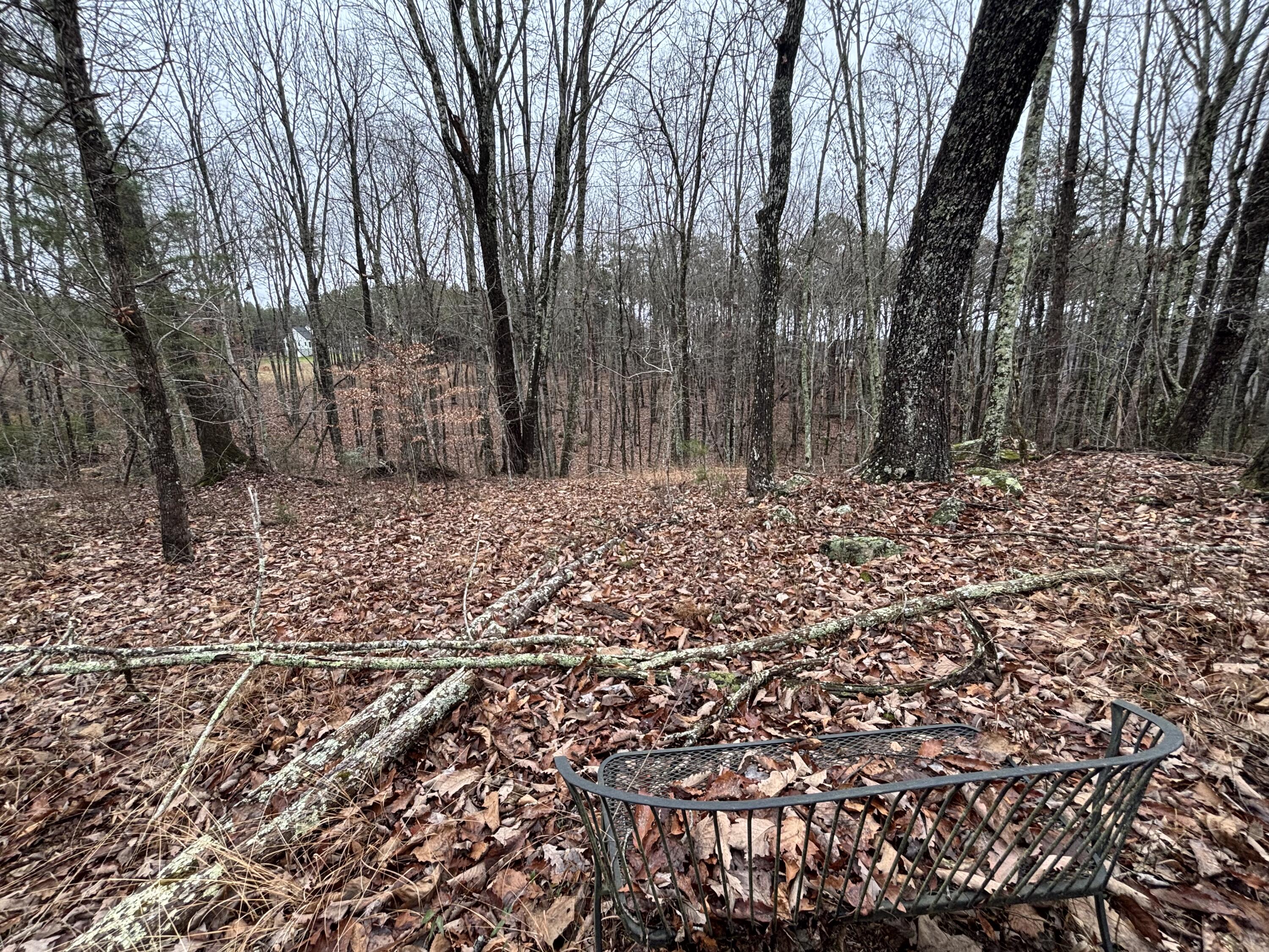 3699 Crockett Pointe Jasper, TN 37347 - Photo 13 of 74 IMG_7517