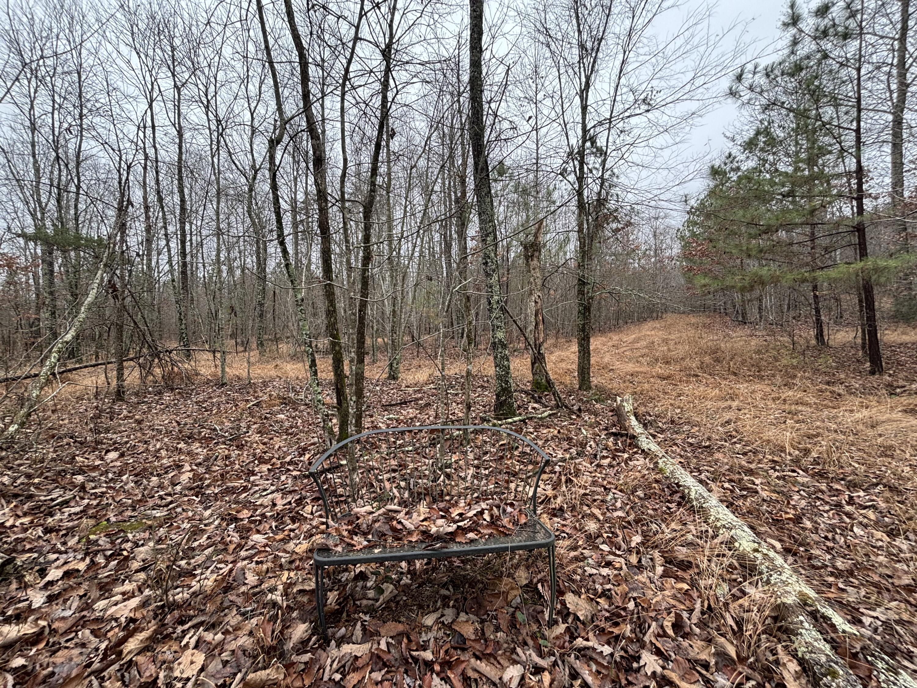 3699 Crockett Pointe Jasper, TN 37347 - Photo 14 of 74 IMG_7516