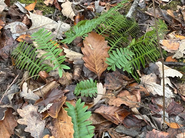 $129,900 | 3699 Crockett Pointe, Jasper, TN 37347