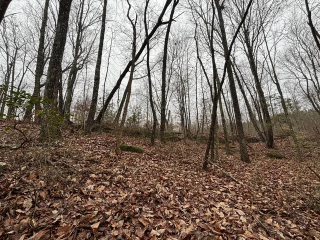 $129,900 | 3699 Crockett Pointe, Jasper, TN 37347