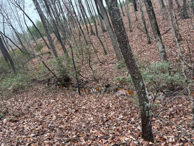 $129,900 | 3699 Crockett Pointe, Jasper, TN 37347