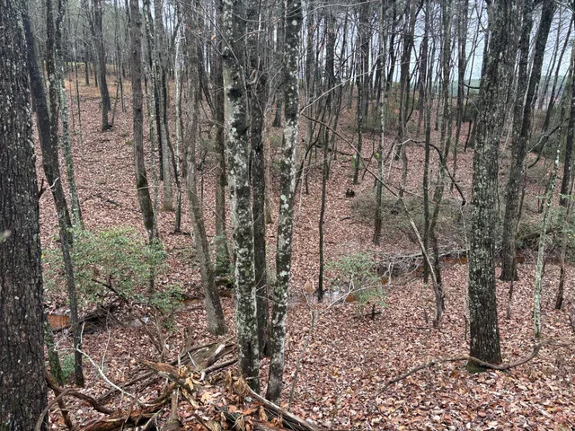 $129,900 | 3699 Crockett Pointe, Jasper, TN 37347