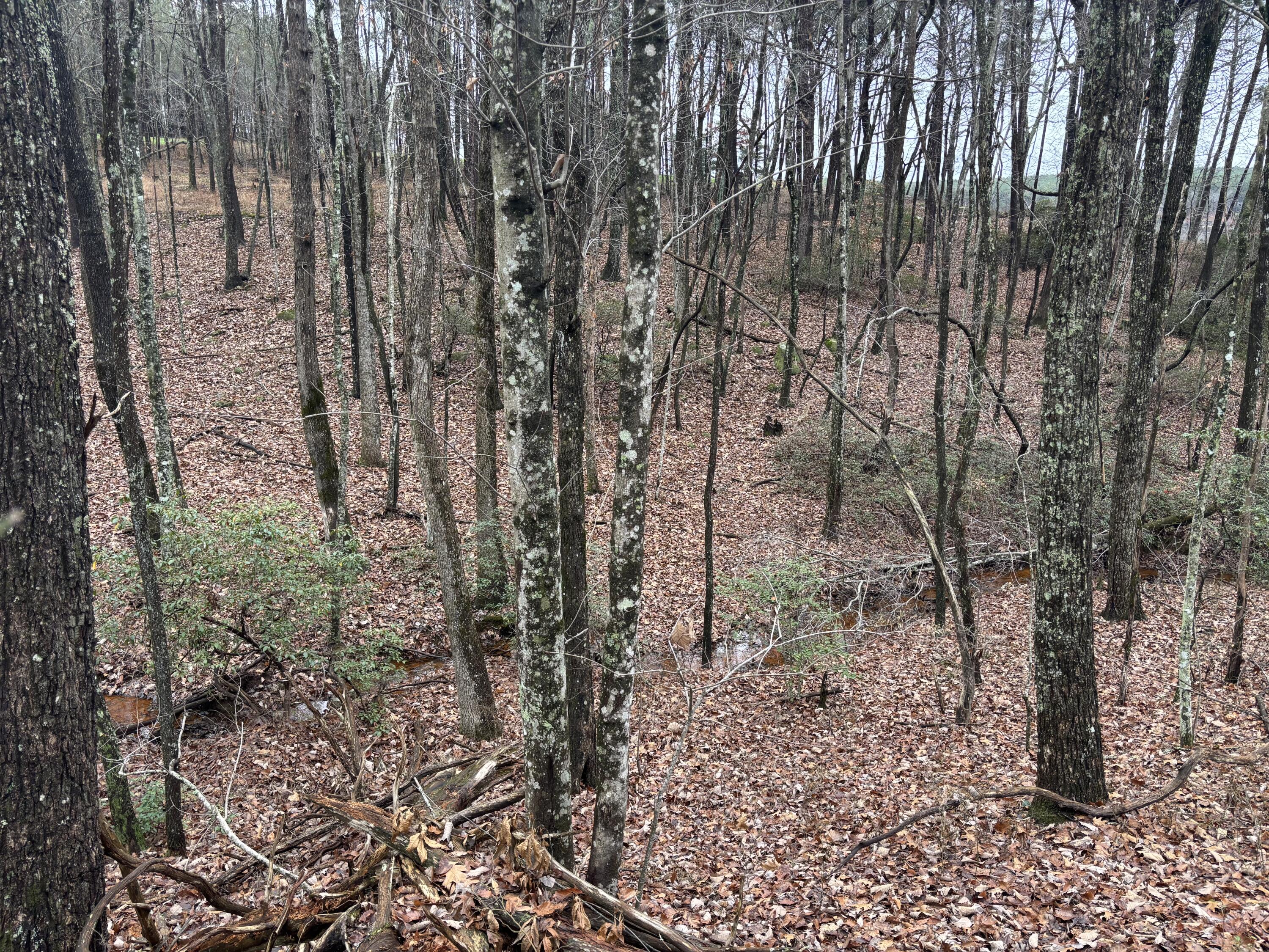 3699 Crockett Pointe Jasper, TN 37347 - Photo 19 of 74 IMG_7503