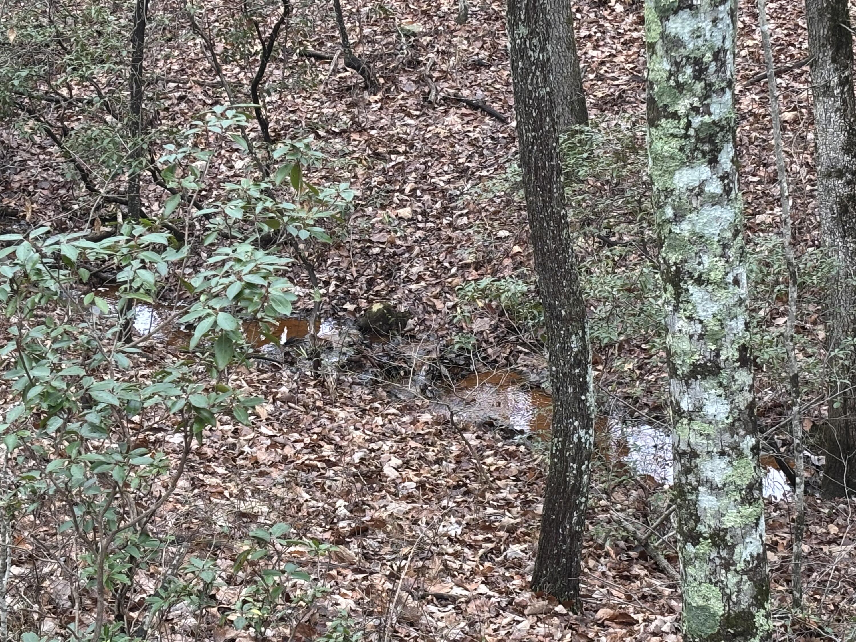 3699 Crockett Pointe Jasper, TN 37347 - Photo 20 of 74 IMG_7502