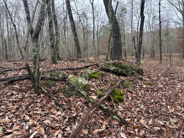 $129,900 | 3699 Crockett Pointe, Jasper, TN 37347