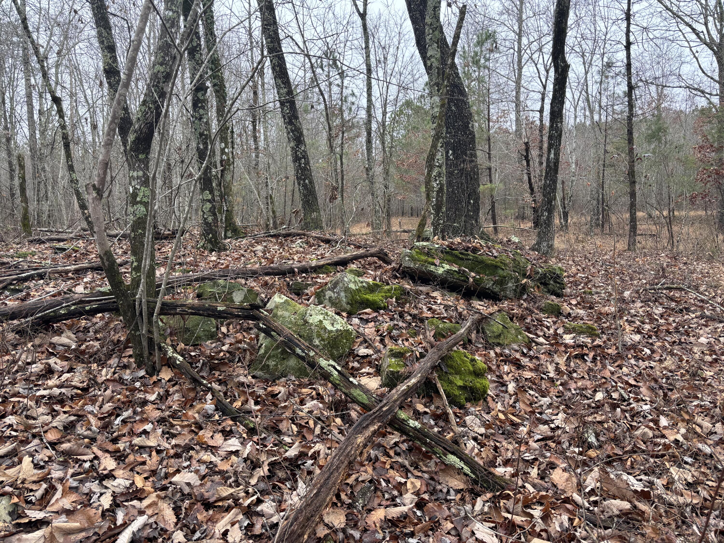 3699 Crockett Pointe Jasper, TN 37347 - Photo 21 of 74 IMG_7501