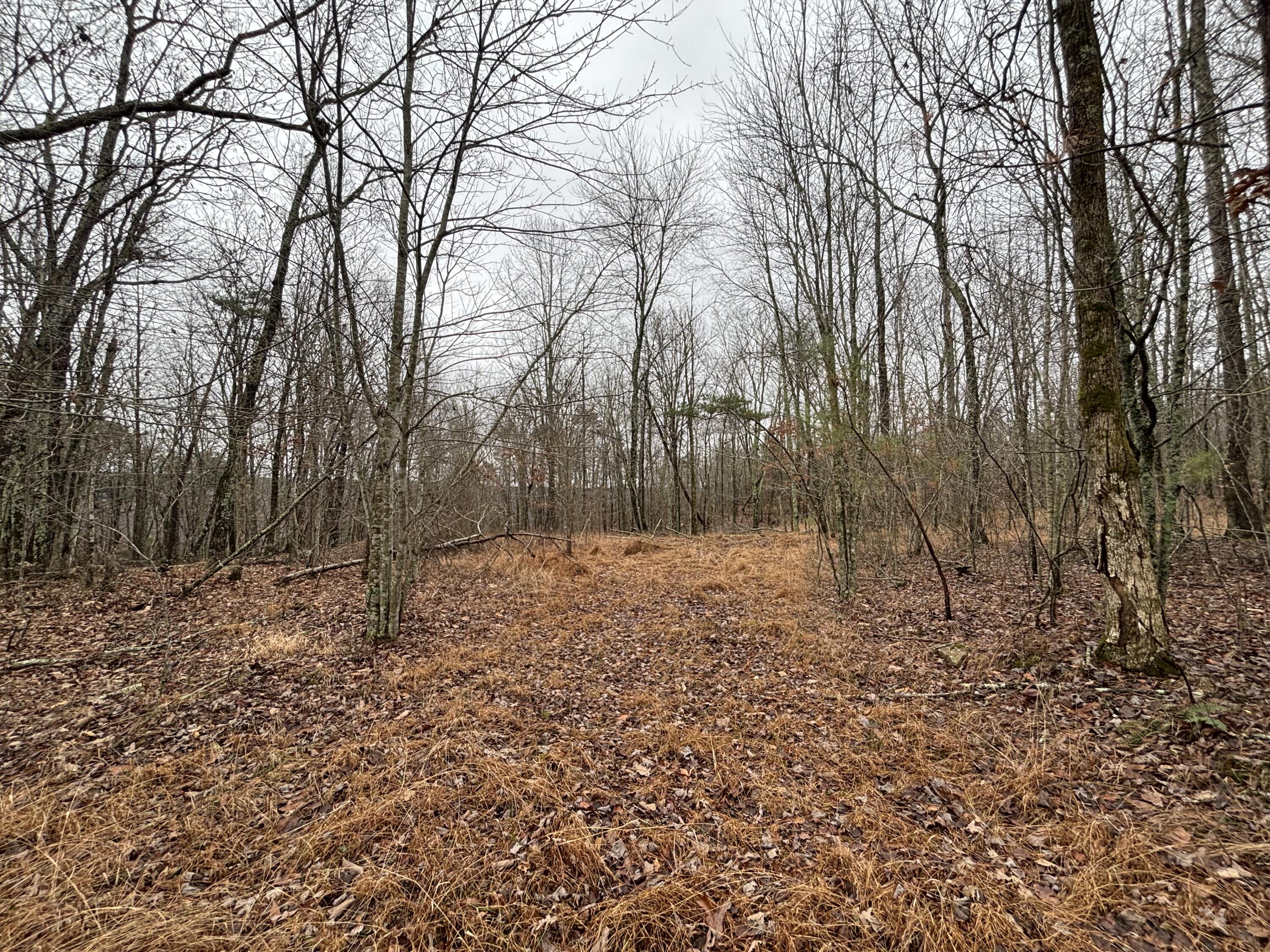 3699 Crockett Pointe Jasper, TN 37347 - Photo 22 of 74 IMG_7500