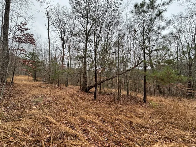 $129,900 | 3699 Crockett Pointe, Jasper, TN 37347