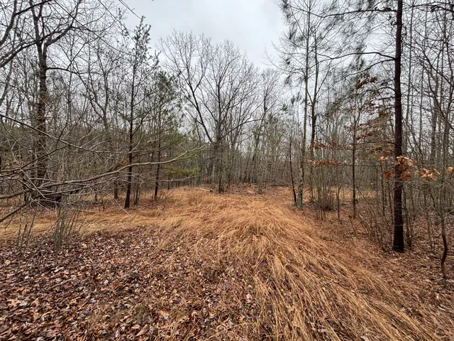 $129,900 | 3699 Crockett Pointe, Jasper, TN 37347