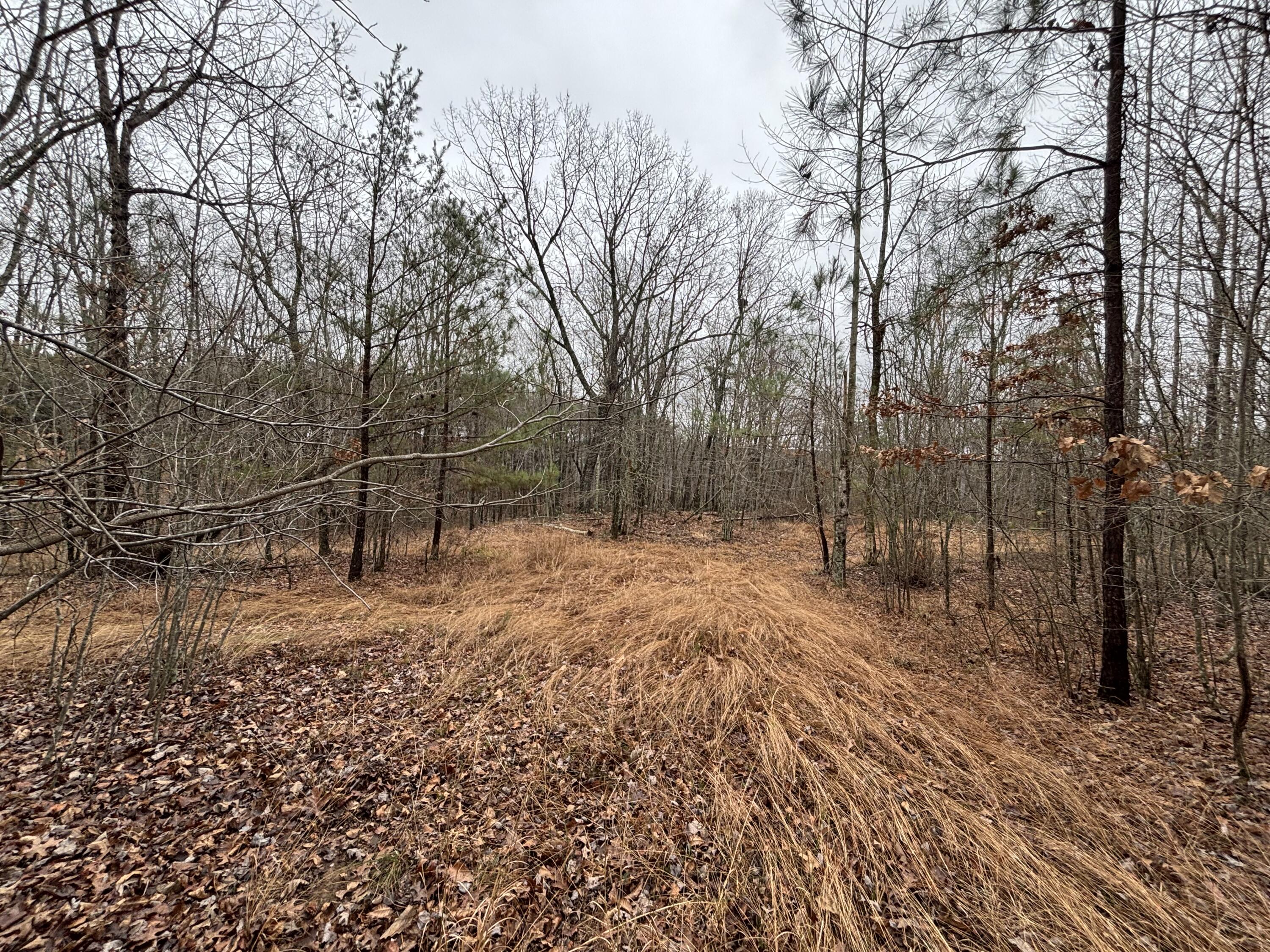 3699 Crockett Pointe Jasper, TN 37347 - Photo 24 of 74 IMG_7498