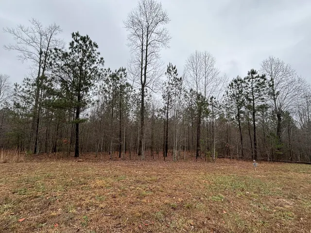 $129,900 | 3699 Crockett Pointe, Jasper, TN 37347