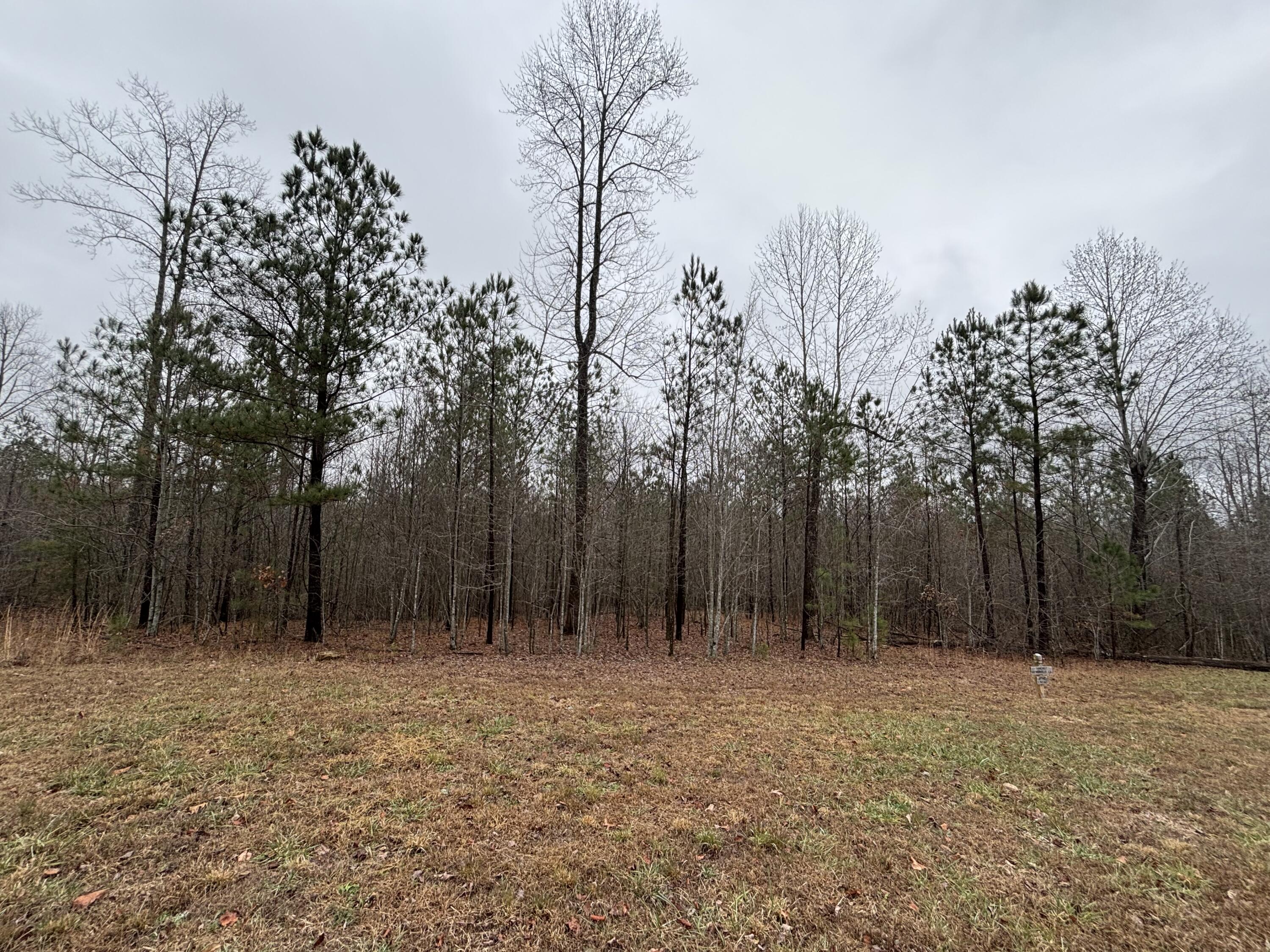 3699 Crockett Pointe Jasper, TN 37347 - Photo 26 of 74 IMG_7496