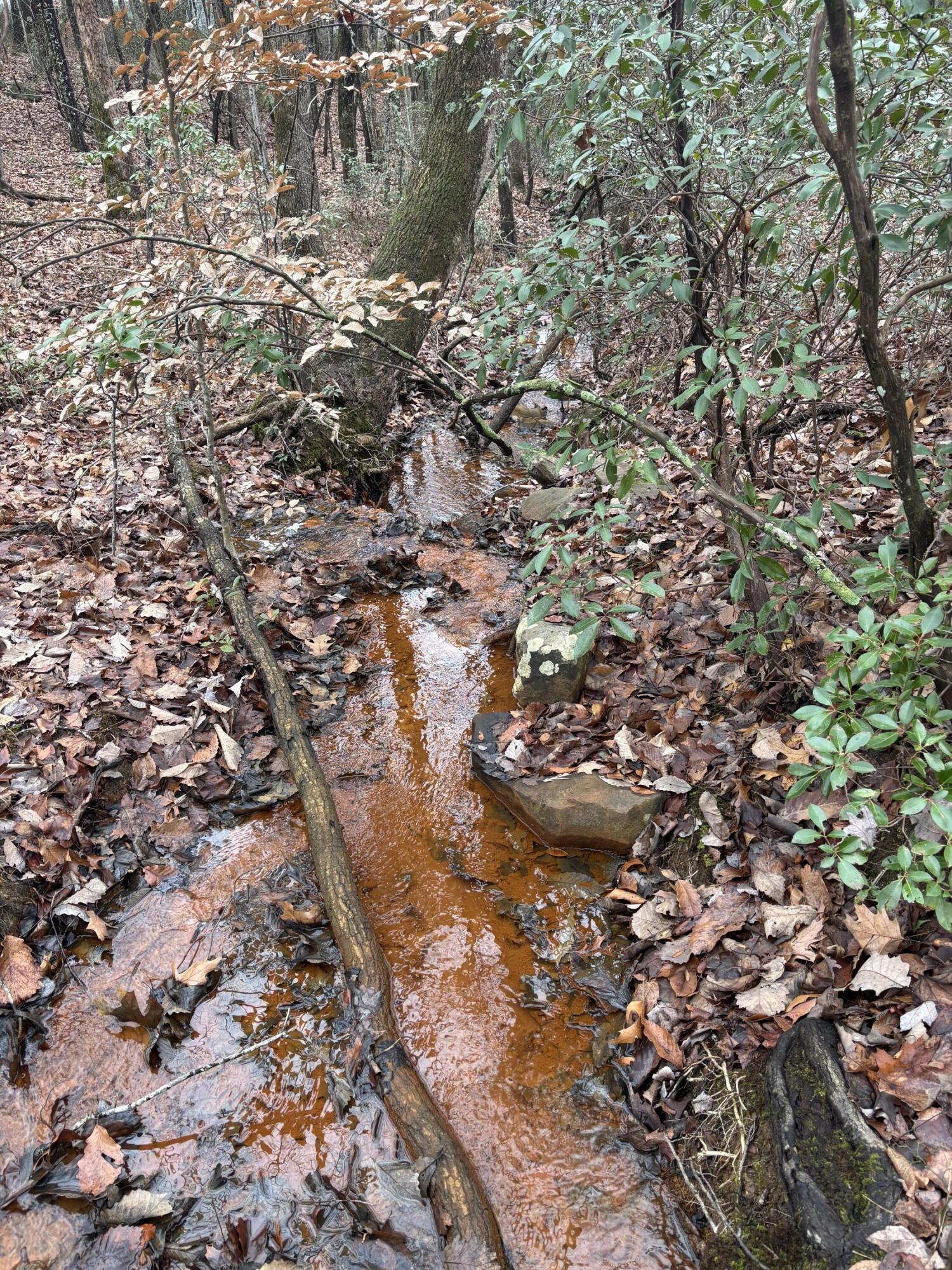 3699 Crockett Pointe Jasper, TN 37347 - Photo 3 of 74 IMG_7513