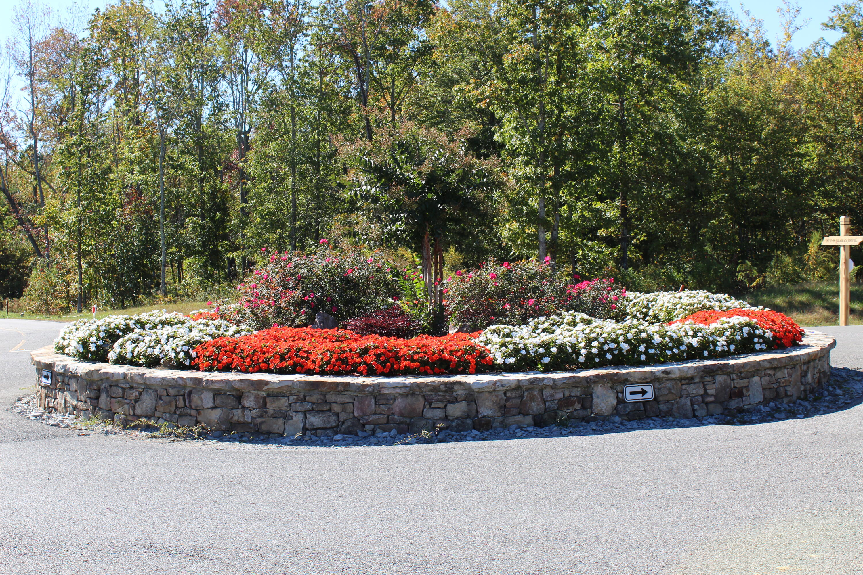 3699 Crockett Pointe Jasper, TN 37347 - Photo 49 of 74 2020-10-13 15.32.32