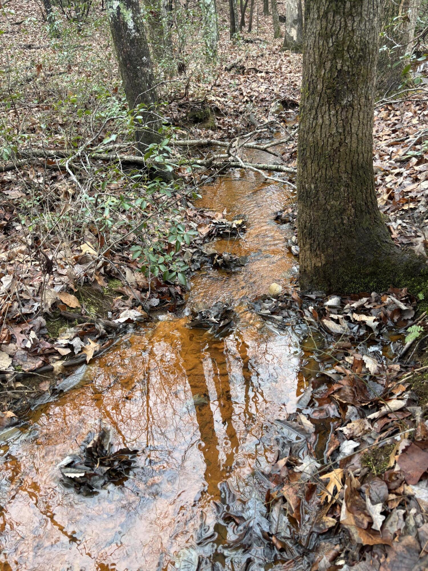 3699 Crockett Pointe Jasper, TN 37347 - Photo 5 of 74 IMG_7506