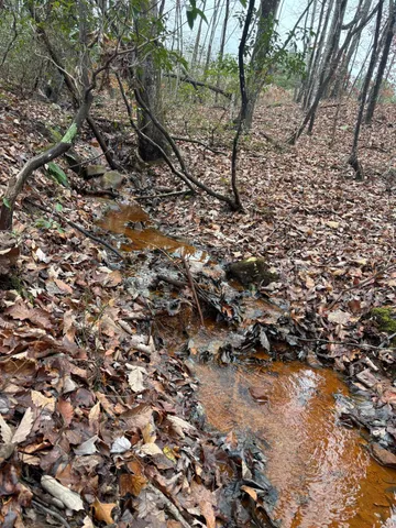 $129,900 | 3699 Crockett Pointe, Jasper, TN 37347