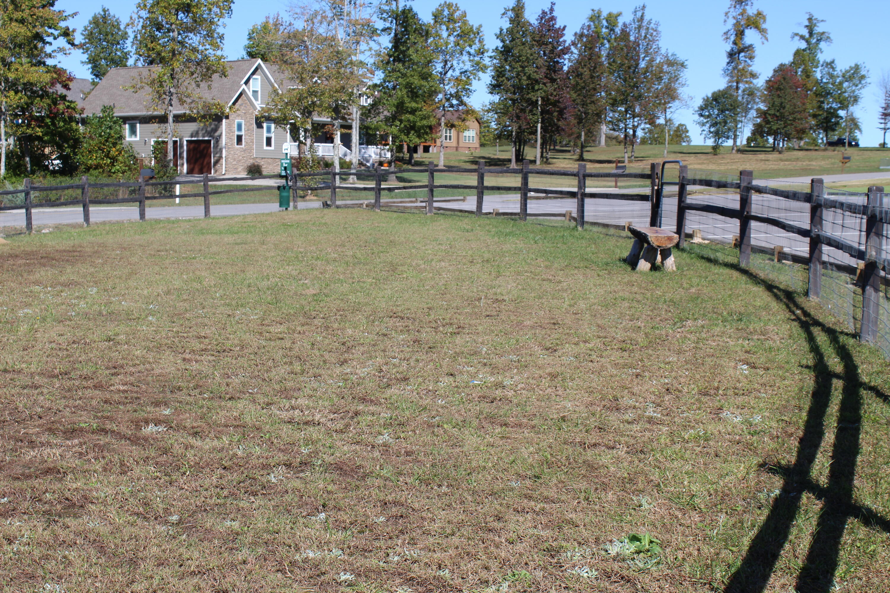 3699 Crockett Pointe Jasper, TN 37347 - Photo 61 of 74 2020-10-13 15.22.13